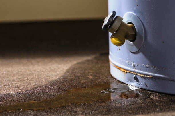  Homer, AK Water damage restoration Pros