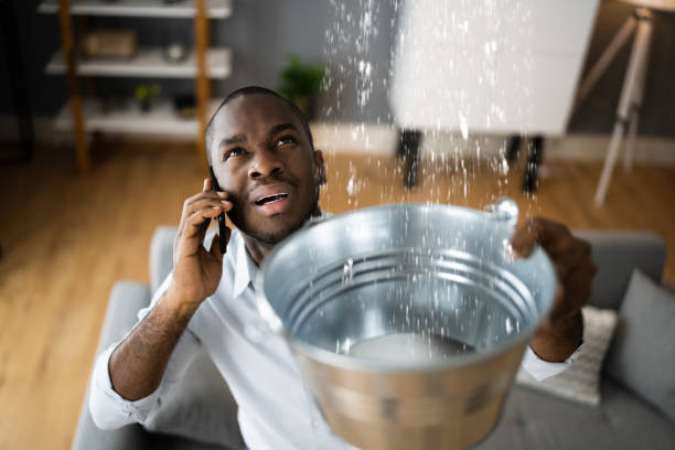 Best Water damage restoration services  in Homer, AK
