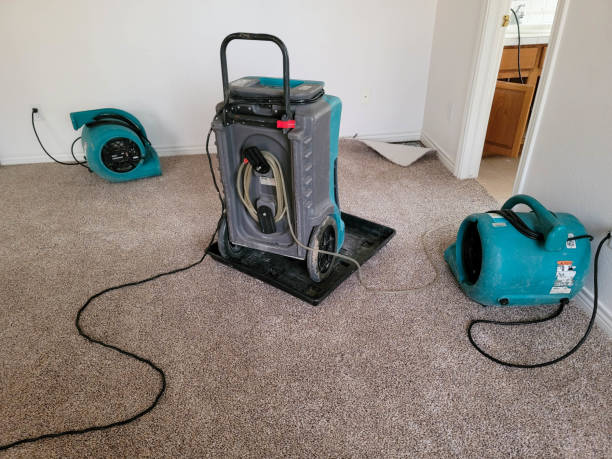Best 24-hour water damage restoration  in Homer, AK