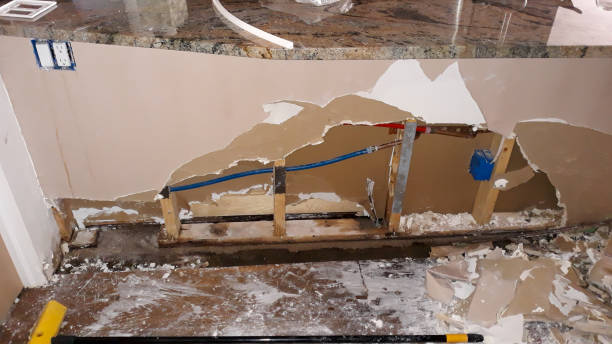 Best Professional water damage repair  in Homer, AK