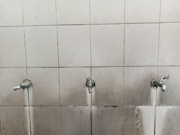 Best Local water damage restoration  in Homer, AK