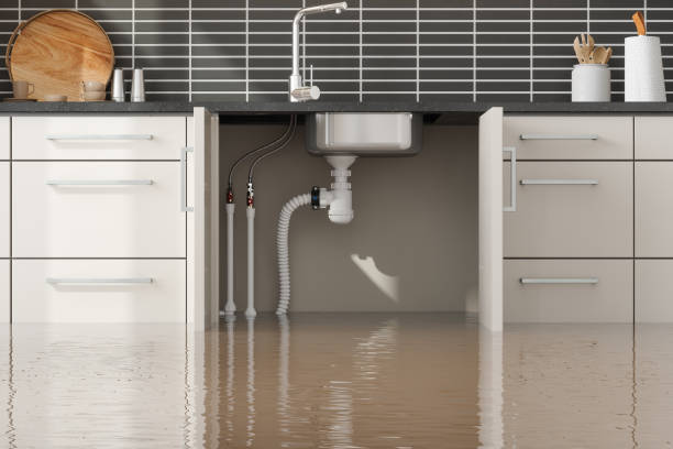 Best Commercial water damage restoration  in Homer, AK