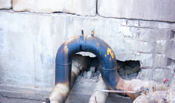 Carpet water damage restoration in Homer, AK