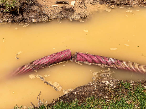 Sewage cleanup and water damage restoration in Homer, AK